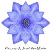 purple flower David Bookbinder JPG